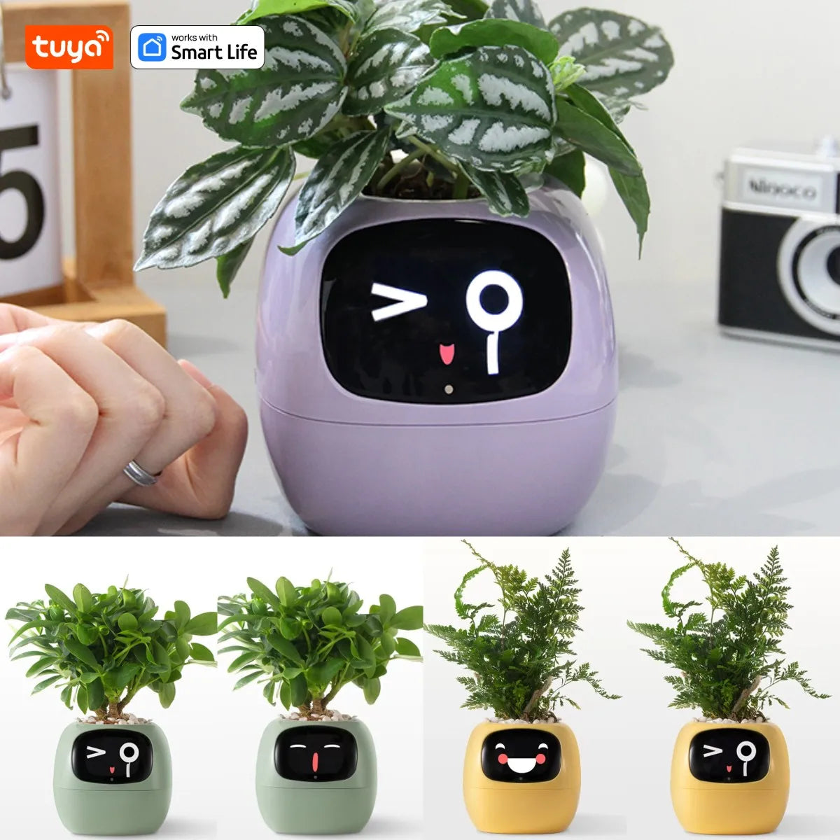 AI Smart Plant Pot with Face Expressions, Fun Plant Raising with Care