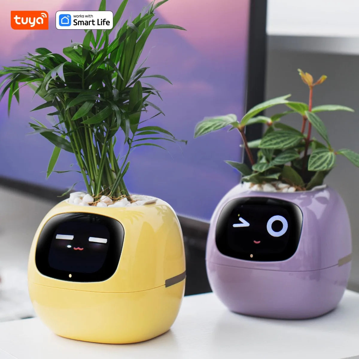 AI Smart Plant Pot with Face Expressions, Fun Plant Raising with Care