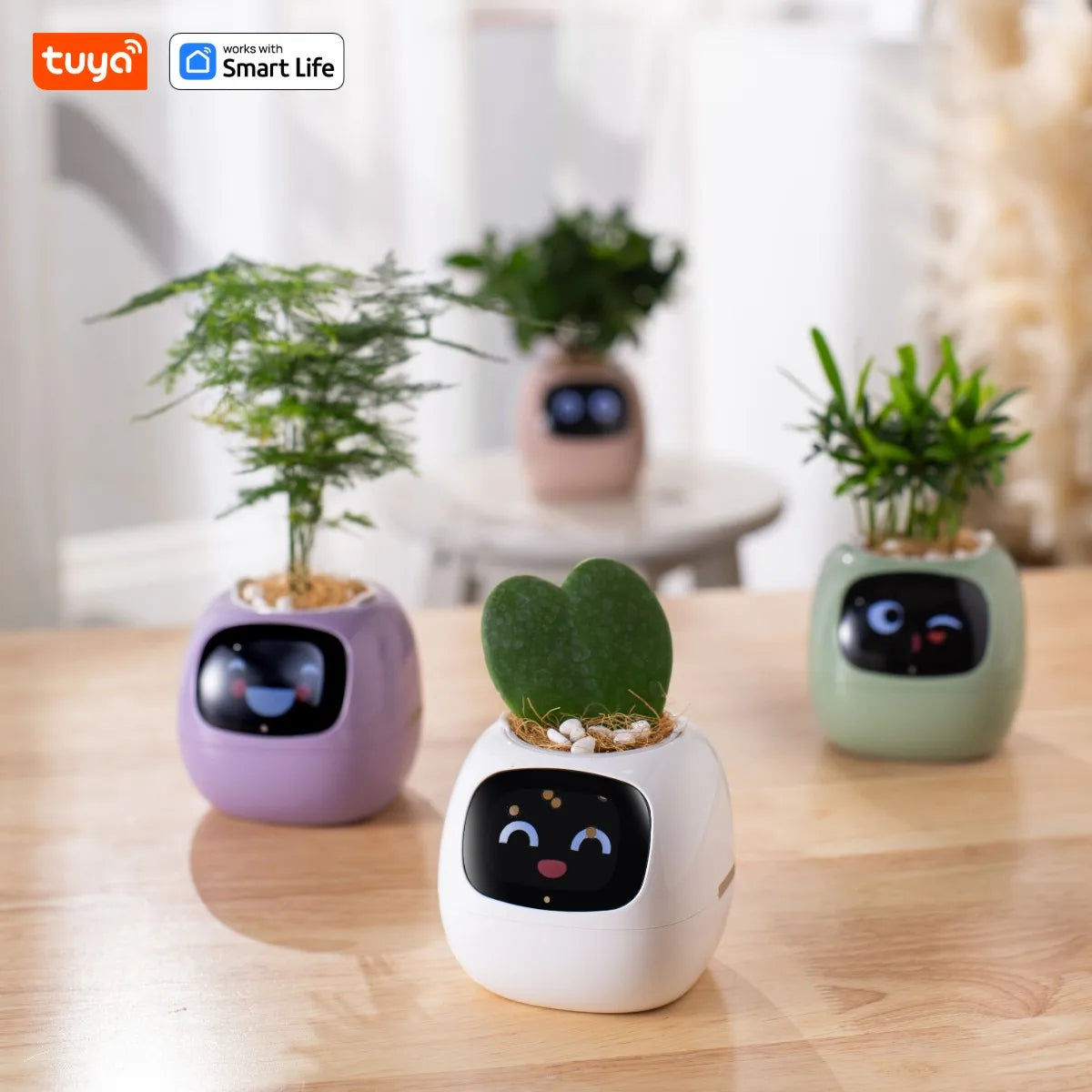AI Smart Plant Pot with Face Expressions, Fun Plant Raising with Care