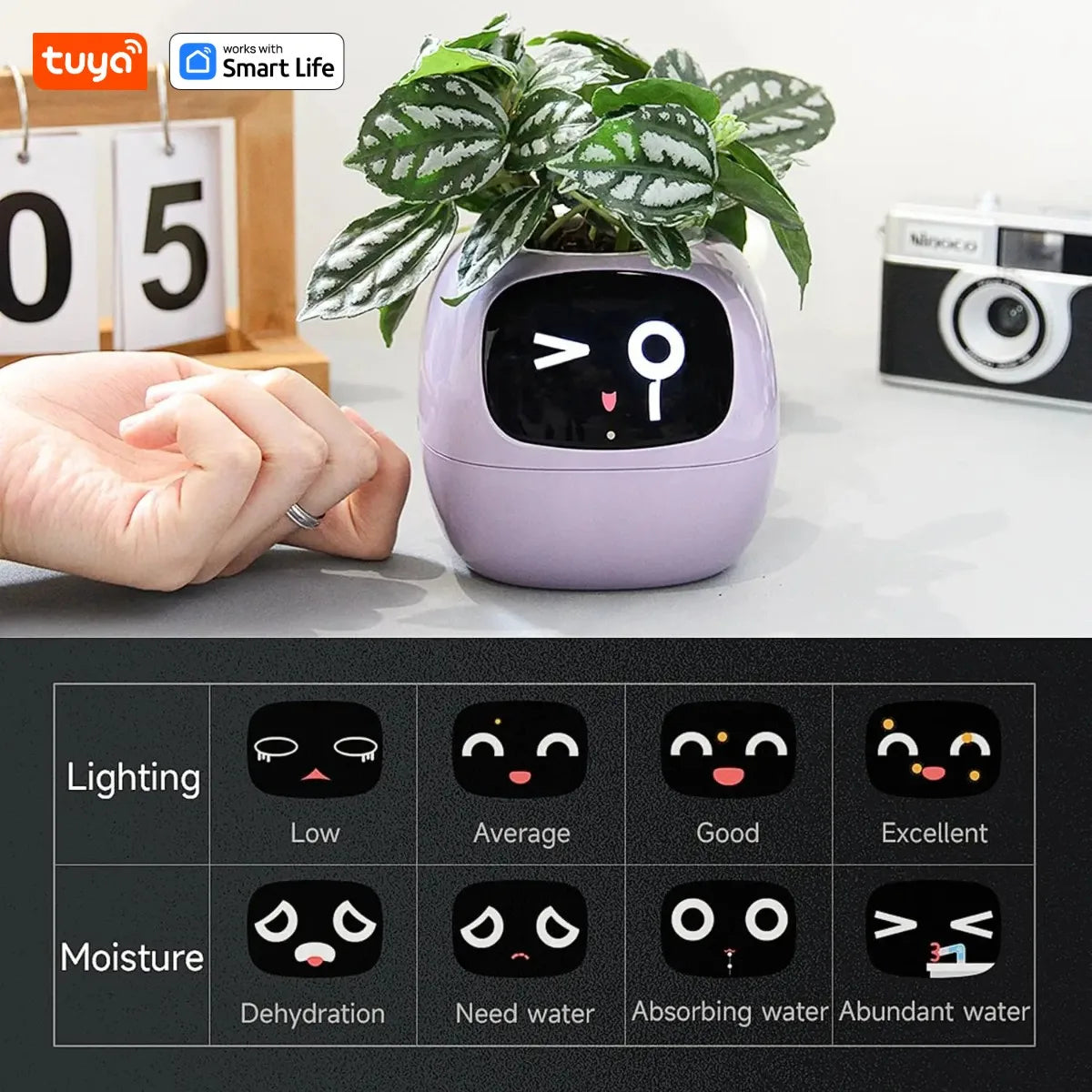 AI Smart Plant Pot with Face Expressions, Fun Plant Raising with Care