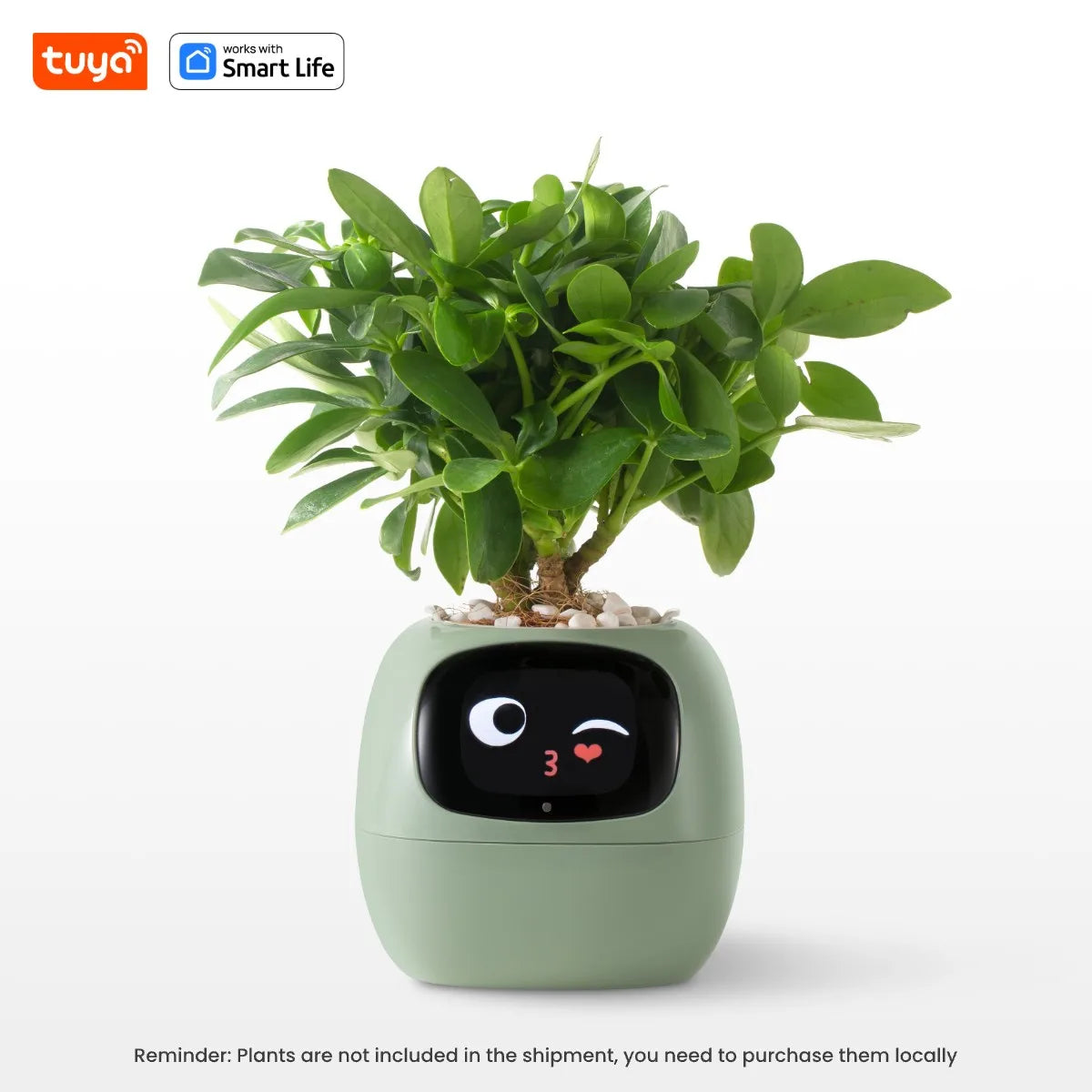 AI Smart Plant Pot with Face Expressions, Fun Plant Raising with Care