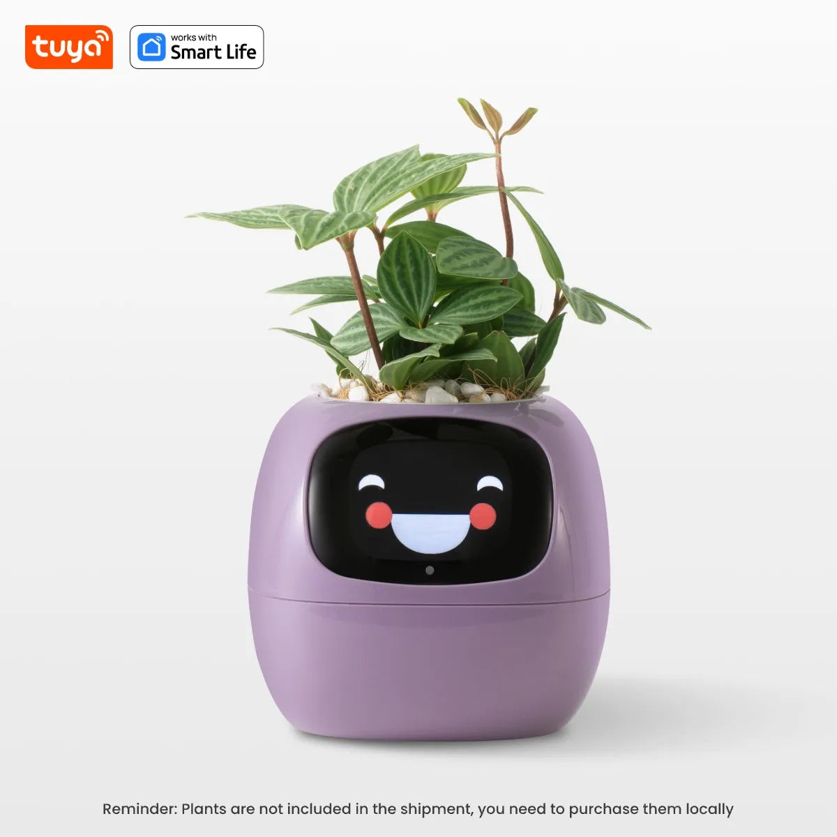 AI Smart Plant Pot with Face Expressions, Fun Plant Raising with Care